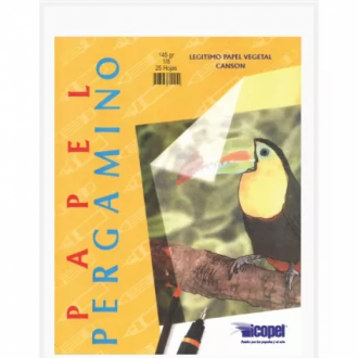 Papel Pergamino 145g 1/8 X Und Canson