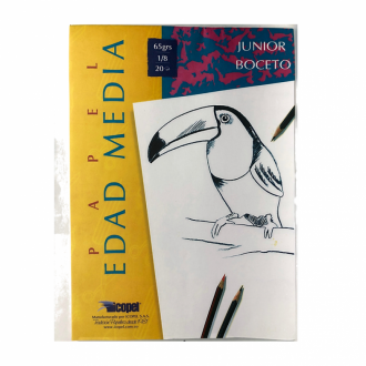Block Papel Edad Media 1/8 65grs Icopel