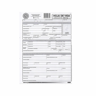 Hoja De Vida Minerva Gris 10-00
