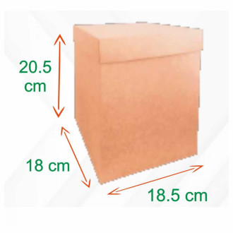 Caja Carton Cubo 18x18