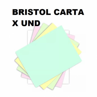 Cartulina Bristol Carta X Und