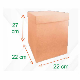 Caja Carton Cubo 22x22